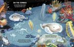 Glow in the Dark Oceans spread
