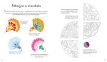 Mandalas to Draw and Colour spread
