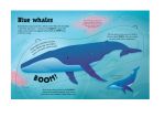 Great Big Sea Creatures (With Great Big Flaps) spread