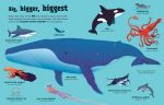 Great Big Sea Creatures (With Great Big Flaps) spread