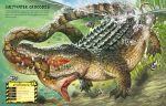Build Your Own Predators spread