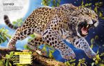 Build Your Own Predators spread