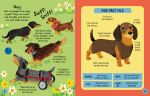 Slot-Together Pets Book spread