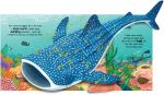 Pop-up Sharks spread