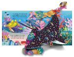 Pop-up Ocean spread