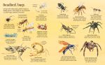Big Book of Big Bugs spread