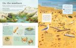 Usborne Outdoor Book spread