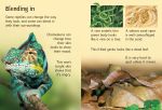 Reptiles spread