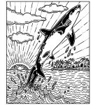 Sharks Magic Painting Book spread