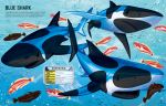 Build Your Own Sharks spread