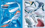 Build Your Own Sharks spread