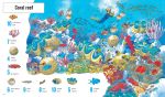 1001 Things to Spot in the Sea spread
