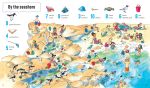 1001 Things to Spot in the Sea spread