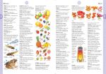 Illustrated Dictionary spread