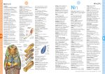 Illustrated Dictionary spread