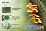Trees spread