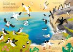 Little First Stickers Birds spread