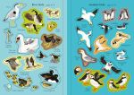 Little First Stickers Birds spread