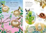 Little First Stickers Birds spread