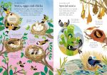 Little First Stickers Birds spread