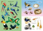 Little First Stickers Birds spread