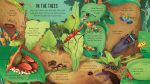 Look Inside Bug World spread