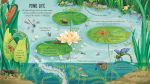 Look Inside Bug World spread