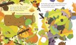 Peek Inside a Forest spread