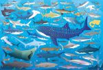 Usborne Book and Jigsaw: Sharks spread