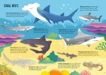 Usborne Book and Jigsaw: Sharks spread