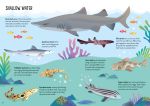 Usborne Book and Jigsaw: Sharks spread
