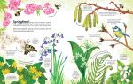 The Woodland Book spread