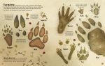 The Woodland Book spread