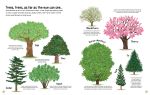 The Woodland Book spread