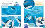 Lots of Things to Know About Animals spread