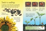 How Flowers Grow spread