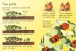 How Flowers Grow spread