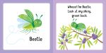 Usborne First Jigsaws And Book: Bugs spread