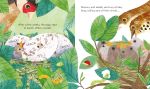 Peek Inside a Bird's Nest spread