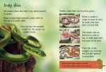 Snakes spread