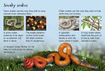 Snakes spread