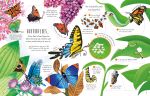See Inside Bugs and Butterflies spread
