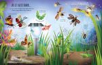 See Inside Bugs and Butterflies spread