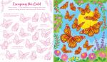 Usborne Scratch Activities Butterflies spread