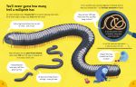 Lots of Things to Know About Bugs spread