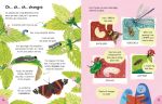 Lots of Things to Know About Bugs spread