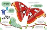 Lots of Things to Know About Bugs spread