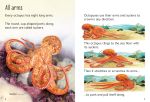 Beginners Octopuses spread