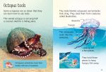 Beginners Octopuses spread