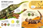 The Usborne Book of Animals spread